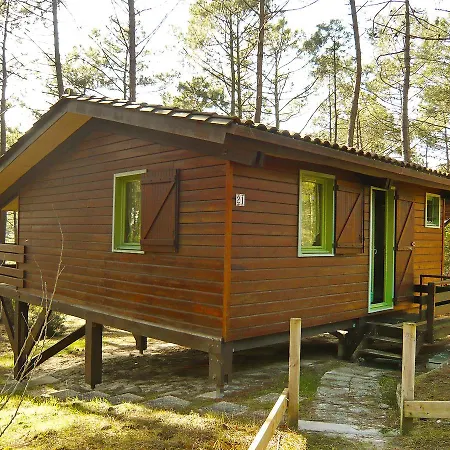 Chalet Chalet Du Golf By Interhome Alpstuga